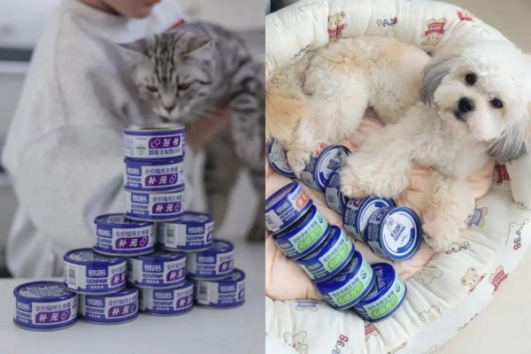 银趣的系列产品之一：“银养罐”