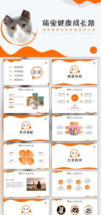 宠物健康饲养专题介绍PPT模板
