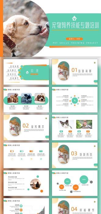 宠物饲养技能专题培训PPT模板