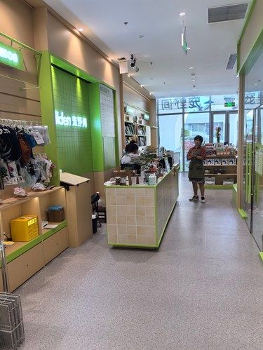 铲屎官必看！wilden·宠野间超绝