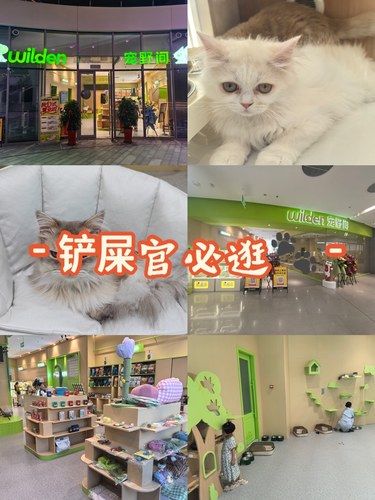 铲屎官必逛wilden·宠野间