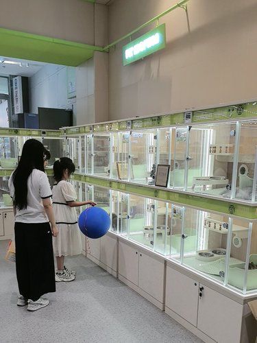 这个宠物店又干净又好玩！