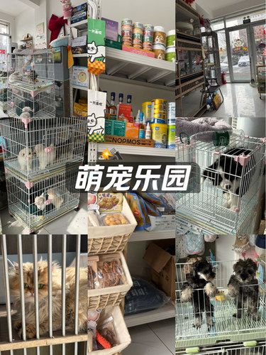 宠物店欢乐多