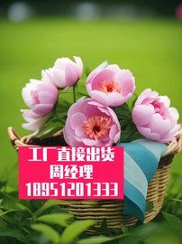 离子电池负极材料复合-绝缘材料浇注母线槽龟-甲防腐