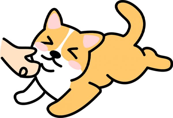 狗狗过年带不回去怎么办？