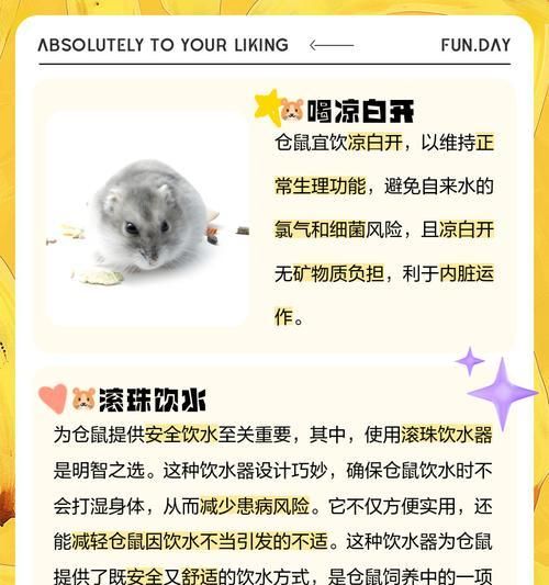 仓鼠应该喝什么类型的水？饮水对仓鼠健康有何影响？