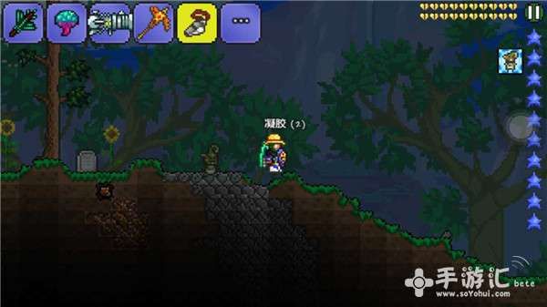 泰拉瑞亚宠物：如何获得最强宠物？宠物种类及属性详解