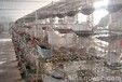 带方蛋窝鸽子笼怎么卖河北哪里有卖鸽笼的镀锌鸽笼厂家