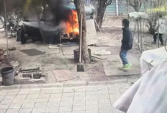 两男孩玩烟花，烧死笼中宠物狗！谁来担责？