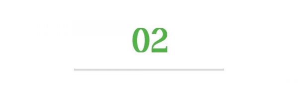 两男孩玩烟花，烧死笼中宠物狗！谁来担责？