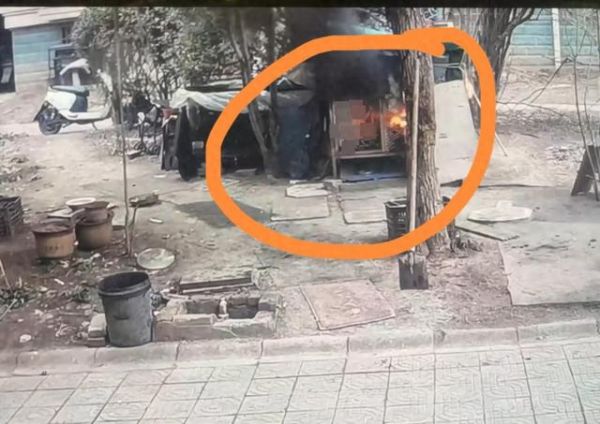 烟花致萨摩耶犬被烧死。视频截图