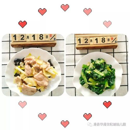 新狗拒食？营养食谱来帮忙！