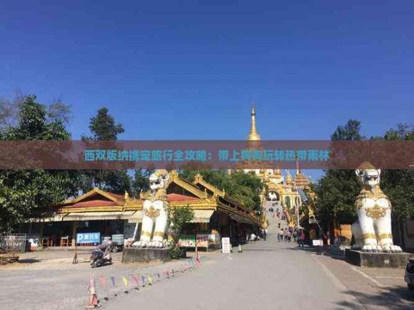 西双版纳携宠旅行全攻略：带上狗狗玩转热带雨林