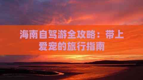 海南自驾游全攻略：带上爱宠的旅行指南