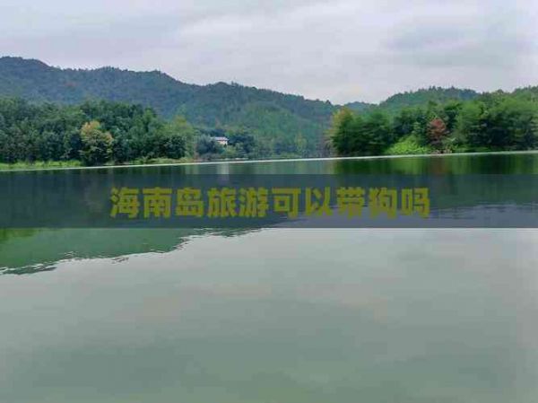 海南岛旅游可以带狗吗