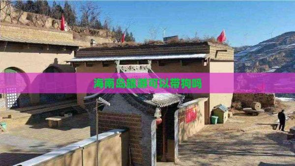 海南岛旅游可以带狗吗