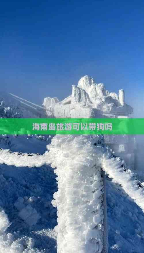 海南岛旅游可以带狗吗