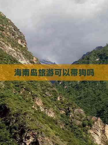 海南岛旅游可以带狗吗