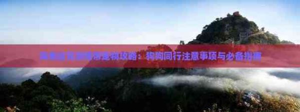 海南自驾游携带宠物攻略：狗狗同行注意事项与必备指南