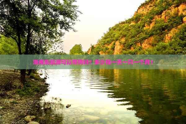 海南岛旅游可以带狗吗？多少钱一天一只一个月？