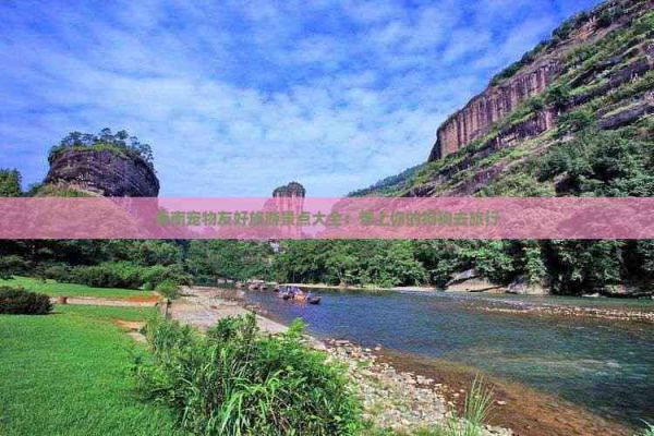 海南宠物友好旅游景点大全：带上你的狗狗去旅行