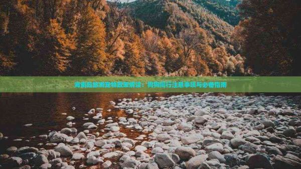 海南岛旅游宠物政策解读：狗狗同行注意事项与必备指南