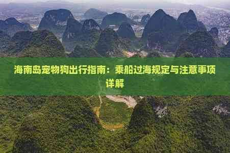 海南岛宠物狗出行指南：乘船过海规定与注意事项详解