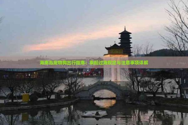 海南岛宠物狗出行指南：乘船过海规定与注意事项详解