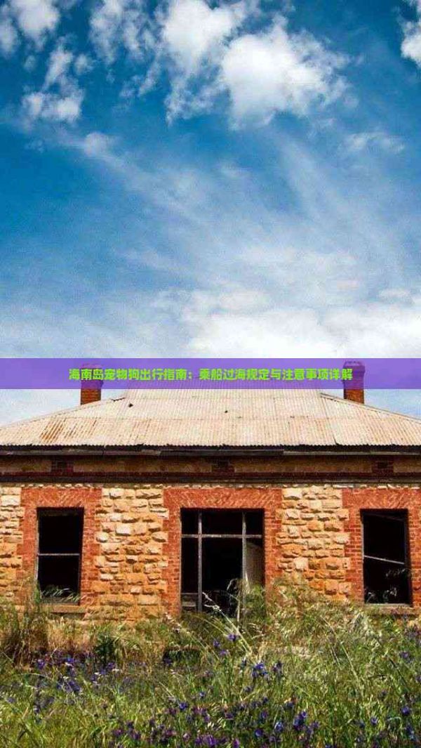 海南岛宠物狗出行指南：乘船过海规定与注意事项详解