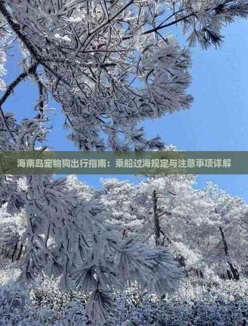 海南岛宠物狗出行指南：乘船过海规定与注意事项详解