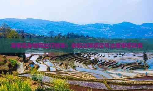 海南岛宠物狗出行指南：乘船过海规定与注意事项详解