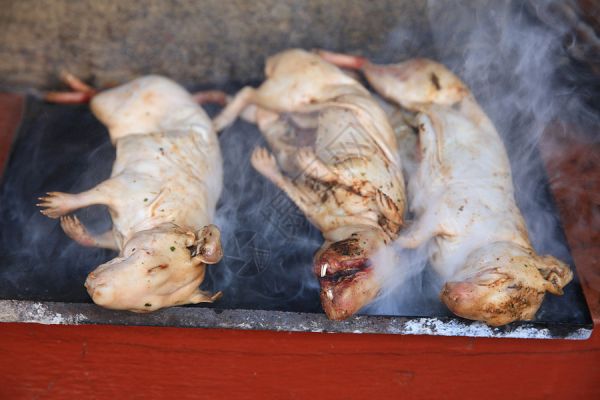秘鲁传统美食烤豚鼠高清图片
