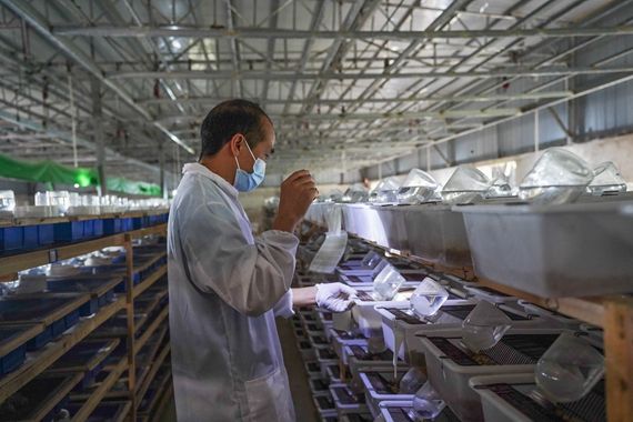 工作人员在进行常规检查 何颖摄.jpg