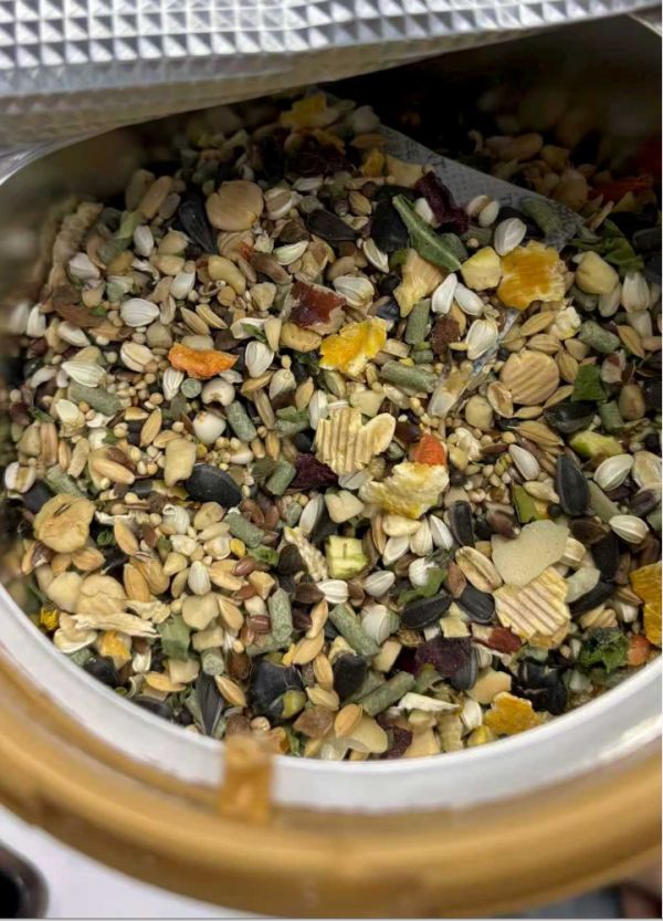 IGG新品坚果盛宴种子粮，深耕鹦鹉营养领域，引领行业品质升级