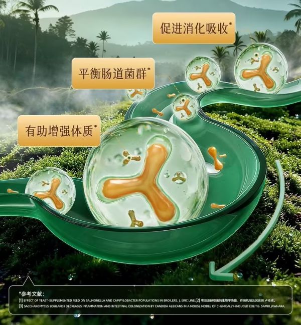 IGG新品坚果盛宴种子粮，深耕鹦鹉营养领域，引领行业品质升级