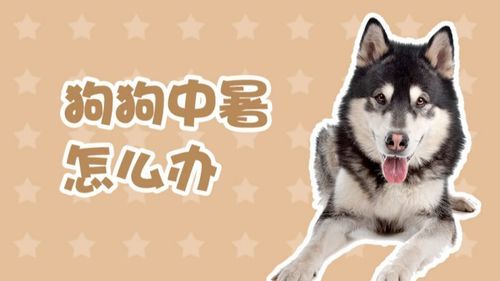 鱼缸宠物躁动不安，游动频繁。