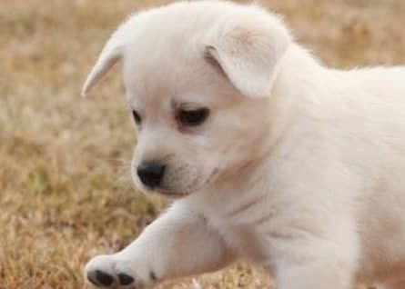 火车托运收费钱多少_火车托运价钱_火车托运怎么收费的多少钱一公斤