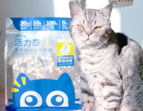 活力泰猫粮：冻干量惊人的猫咪美食！