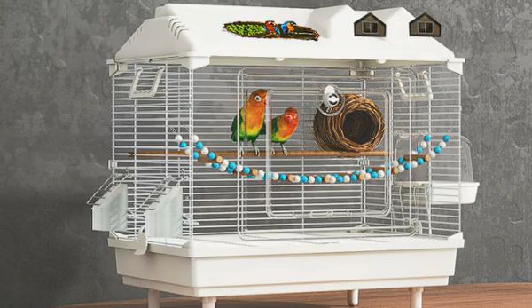 鸟笼怎么选择？君达透明款双重加固，安全稳固有保障
