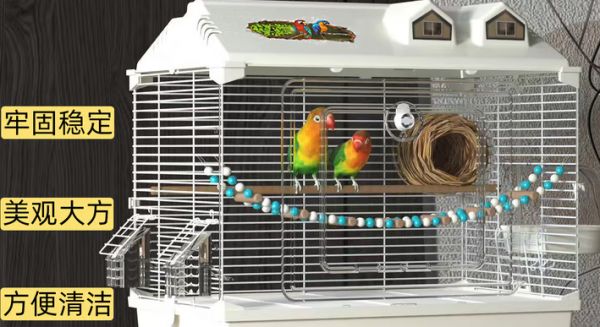 鸟笼怎么选择？君达透明款双重加固，安全稳固有保障