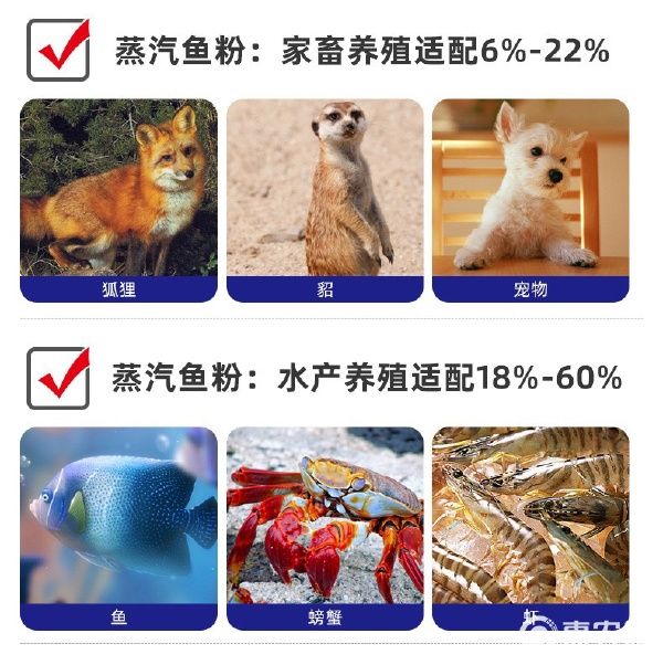 蛋白质补充饲料 批发鸡肉粉 宠物禽畜饲料膨化狗粮原料50kg宠物级饲料级 鸡