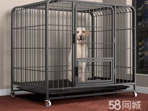 眉山宠物用品/食品·全新狗笼转让