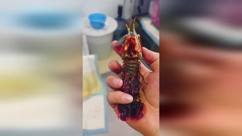 一般人不告诉他