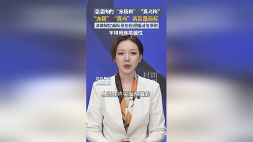 溜溜梅的“冻杨梅”、“真乌梅”两款产品中的“冻杨”、“真乌”其实是商标