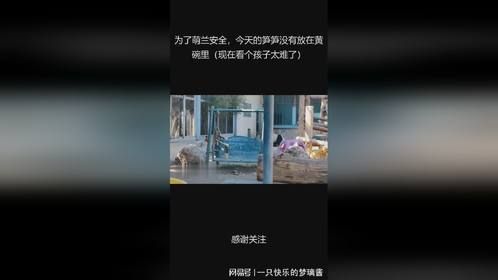 为了萌兰安全，今天的笋笋没有放在黄碗里（现在看个孩子太难了）