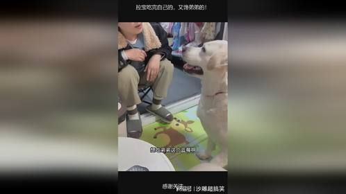 拉宝吃完自己的，又馋弟弟的！