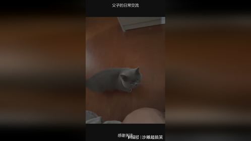 父子的日常交流