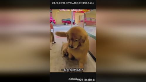 妈妈竟要把孩子放别人家还说不如意再偷回