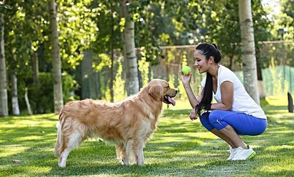 每天撸猫撸狗还能有钱赚，还有这样幸福的工作么？