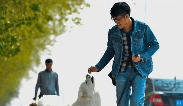 每天撸猫撸狗还能有钱赚，还有这样幸福的工作么？